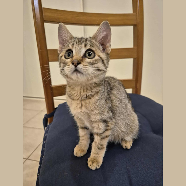 Photo of Willa