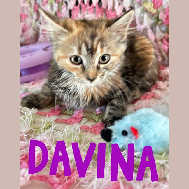 Photo of Davina