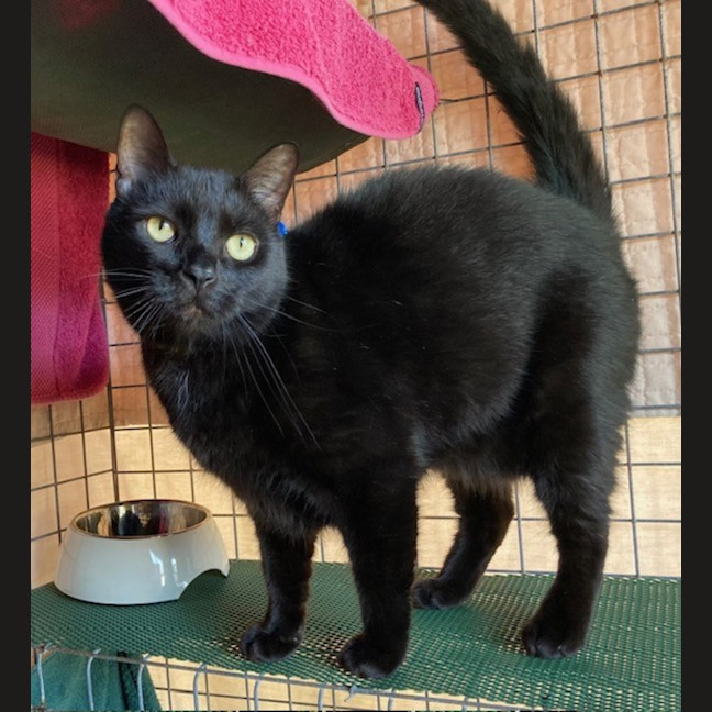 Photo of Luca & Smudge