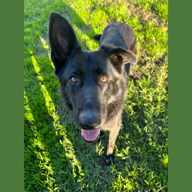 Photo of Azula