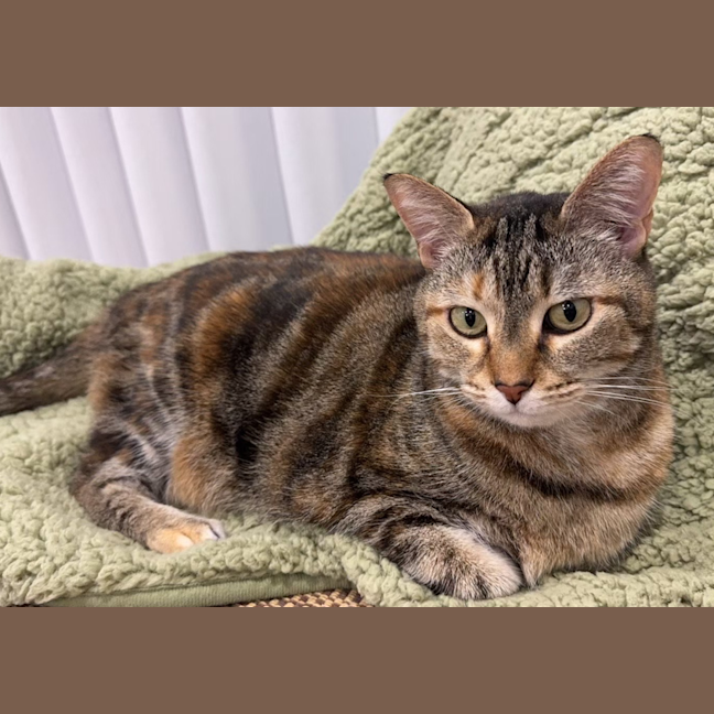 Photo of Thomasina