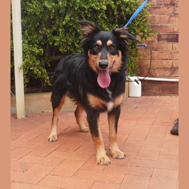 Photo of Mowgli