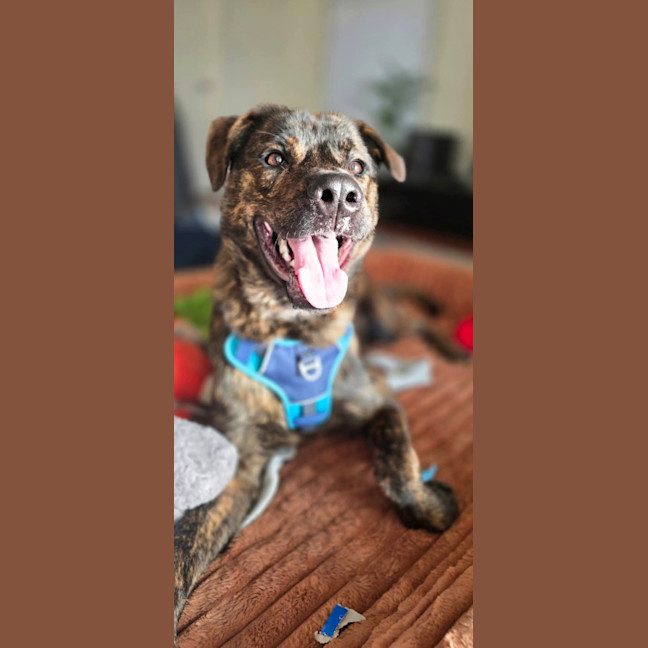 Photo of Walter