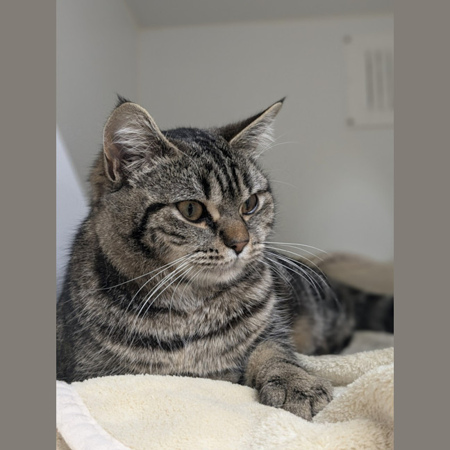 Photo of 🥝 Bindi 5396 🥝