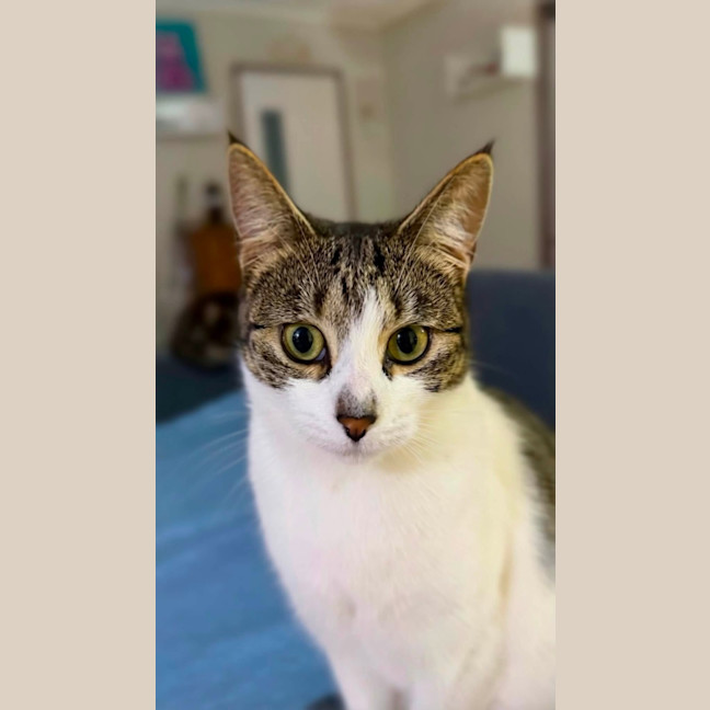 Photo of Abby