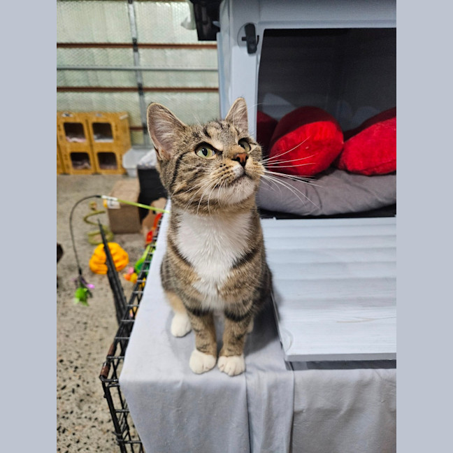 Photo of Hazel