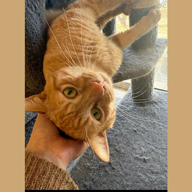 Photo of Boots