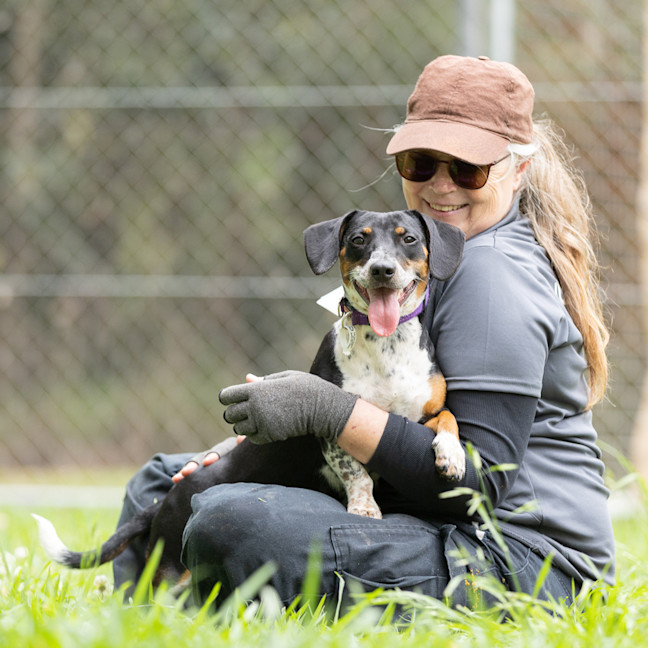 Photo of Tuppence
