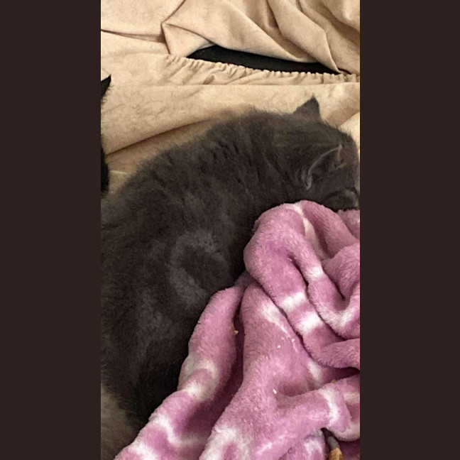 Photo of Addie