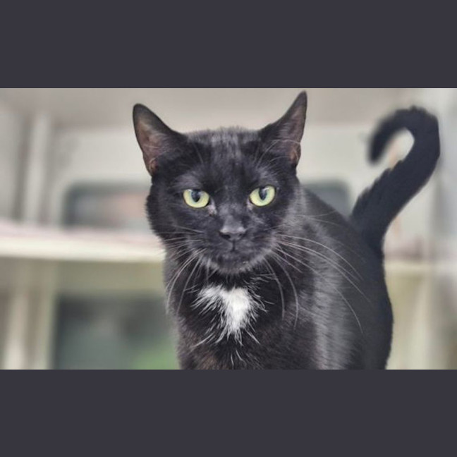 Photo of Charlotte