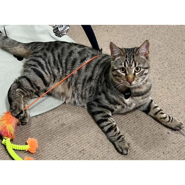 Photo of 11887   Lucky