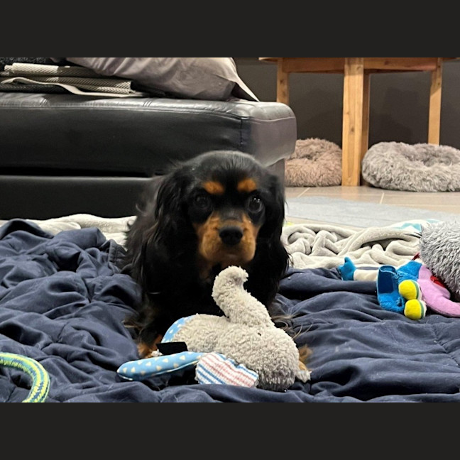 Photo of Walter Quinnell