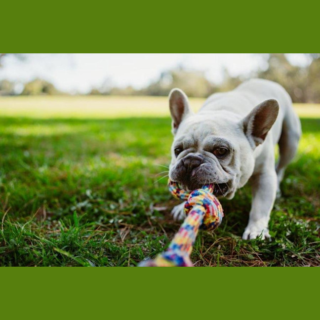 Photo of Bee O’cleary