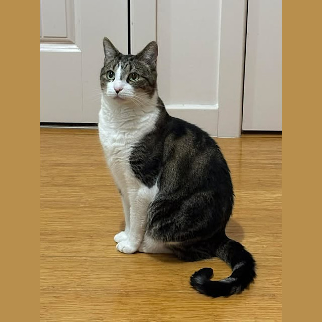 Photo of Lemon (Fka Leicester)