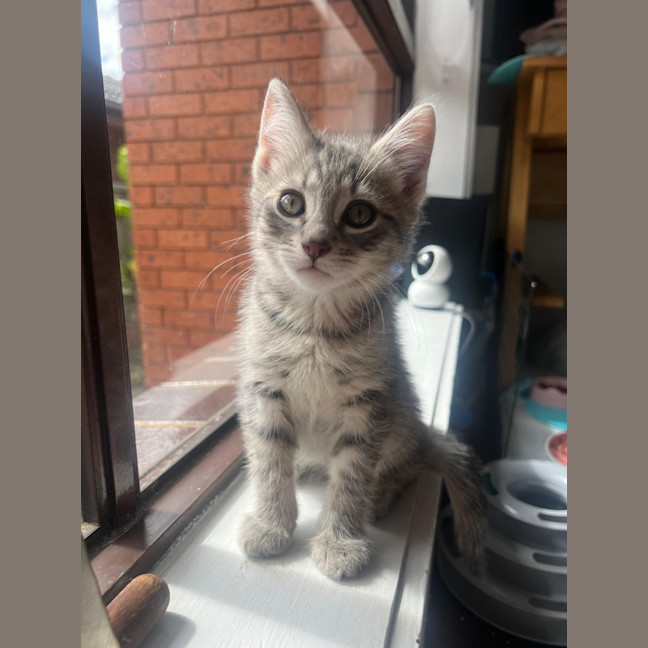Photo of Roll