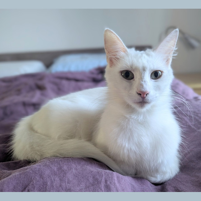 Photo of Yuki