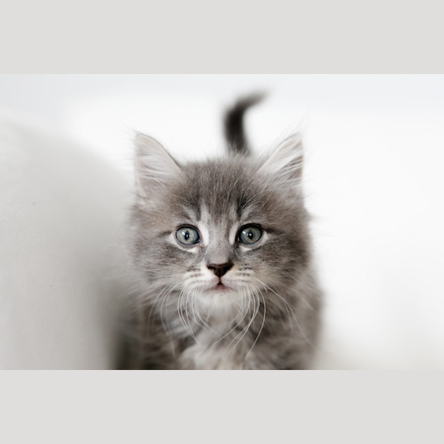 Photo of Bernie