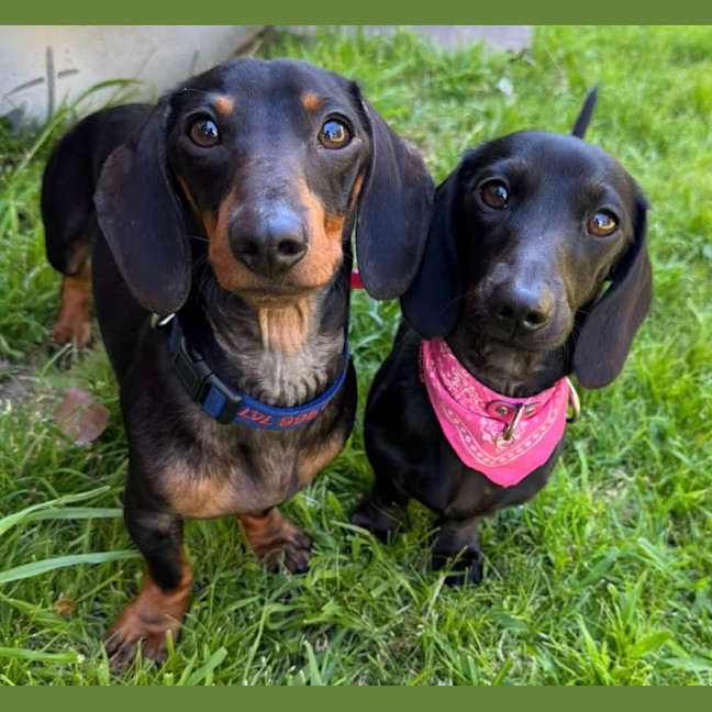 Photo of Chunka & Zativa 