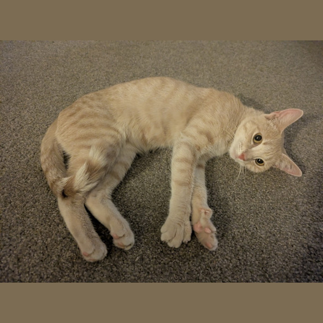 Photo of Ivy