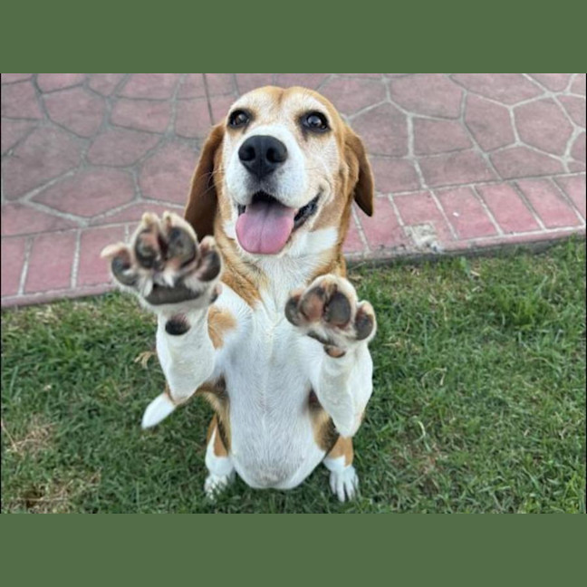 Photo of Cardi B Imp 348