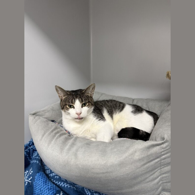 Photo of Tinkerbelle