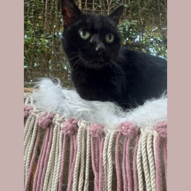 Photo of Molly