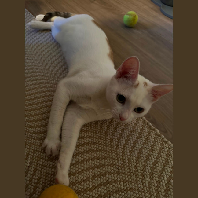 Photo of Gabby 