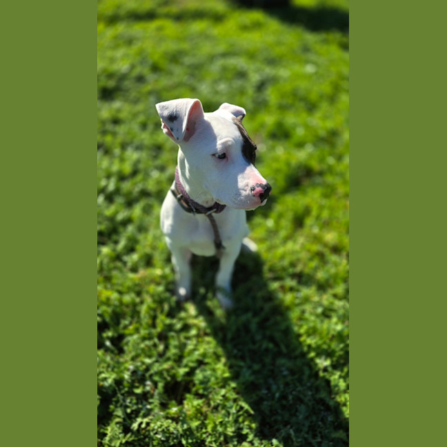 Photo of Po