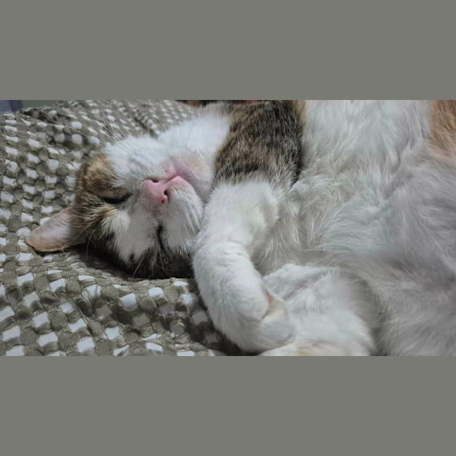 Photo of Tompy