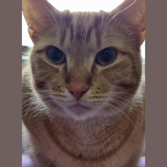 Photo of Toby And Logan 