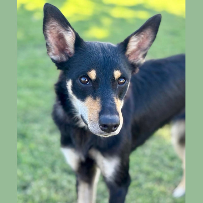 Photo of Matilda 