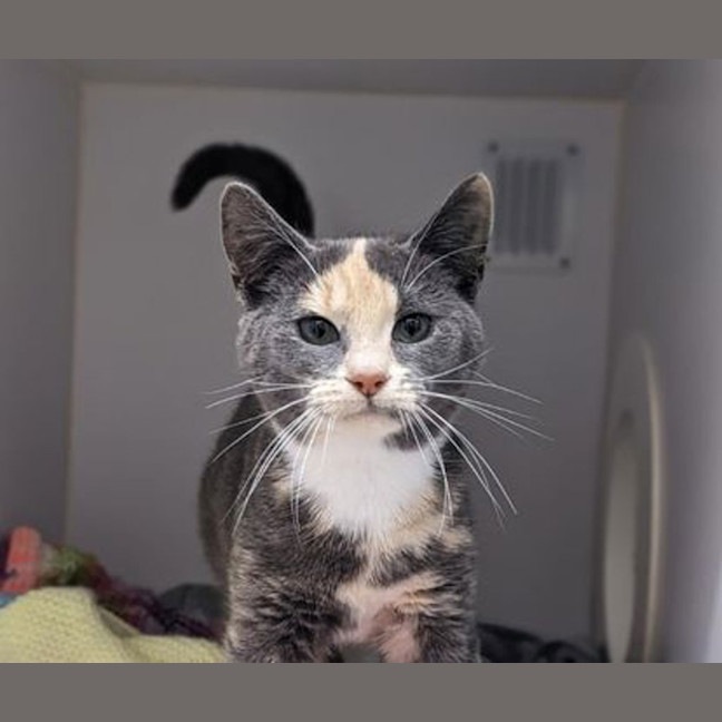 Photo of Betty
