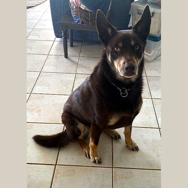 Photo of Patsy