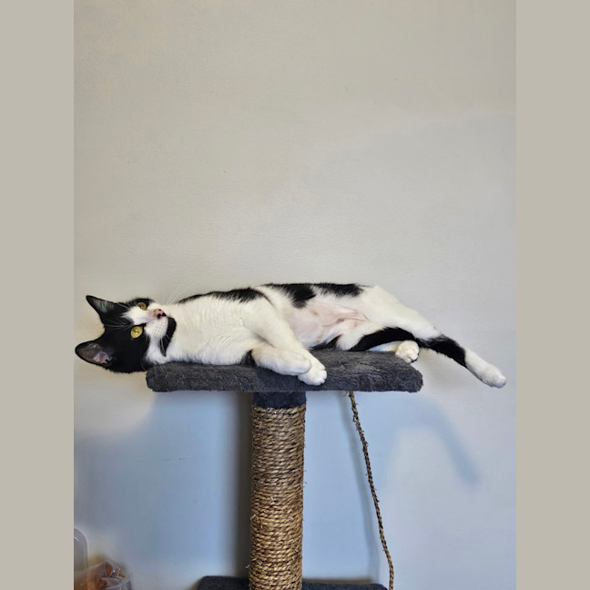 Photo of Madeline