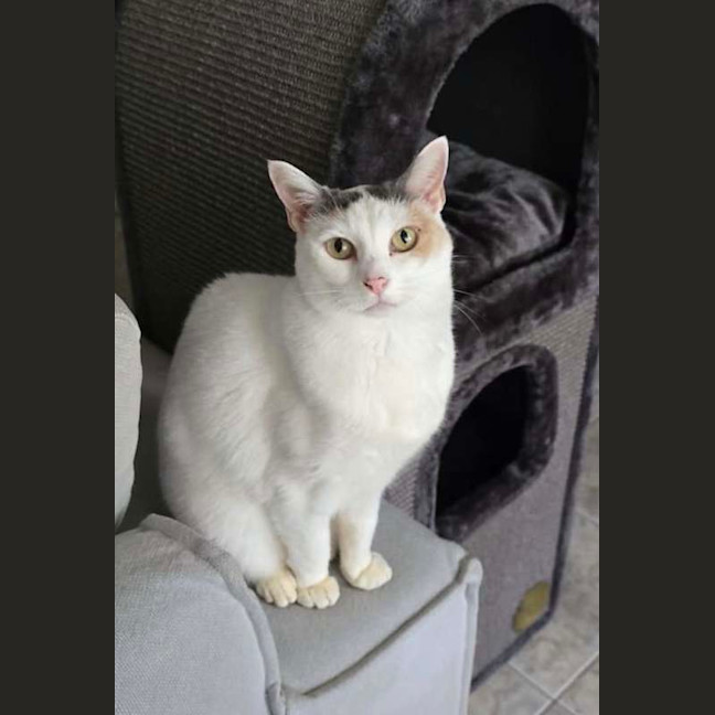 Photo of Angel