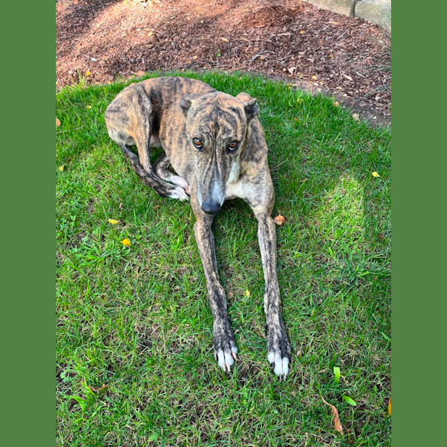 Photo of Laney