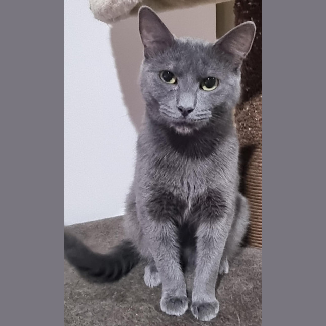 Photo of Sassy