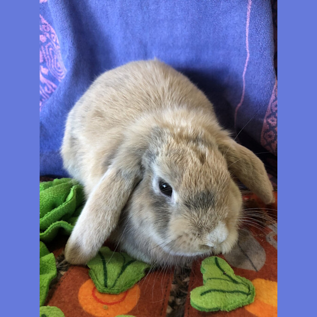 Photo of Mimi