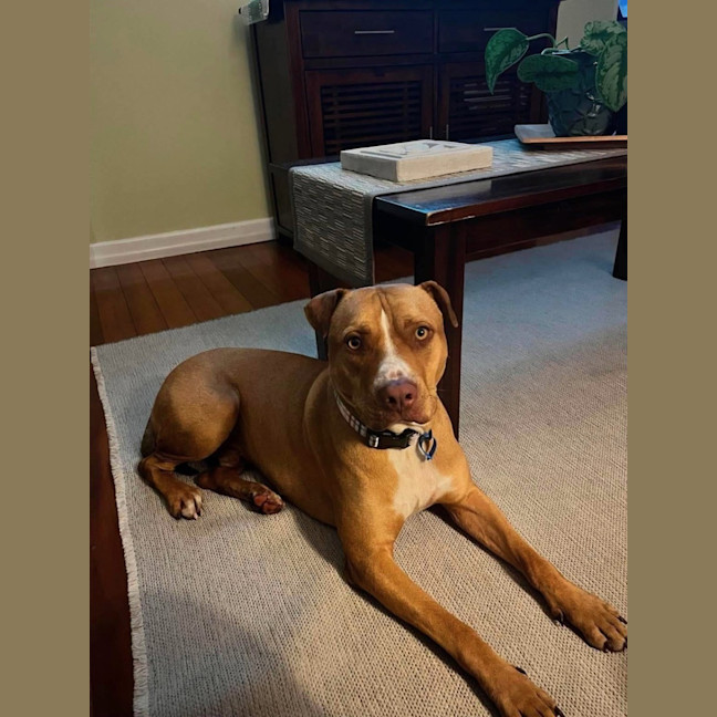 Photo of Trooper 