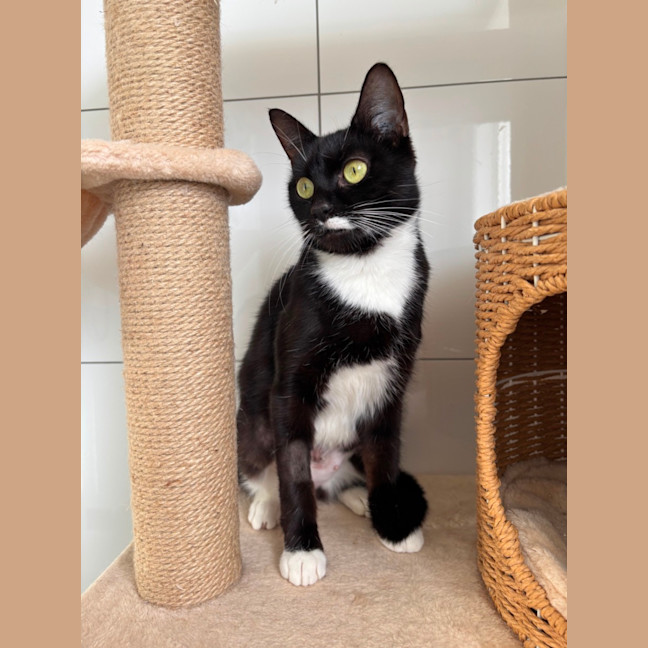 Photo of 🥰 Patricia 🥰