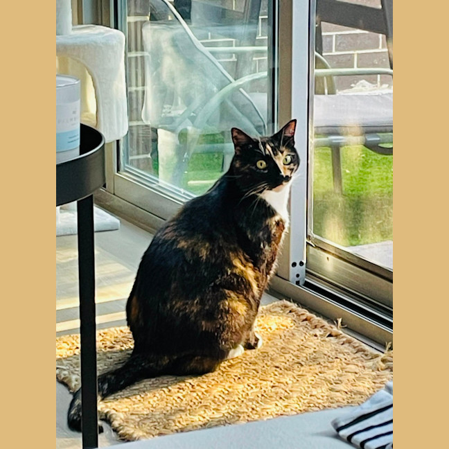 Photo of Aggie