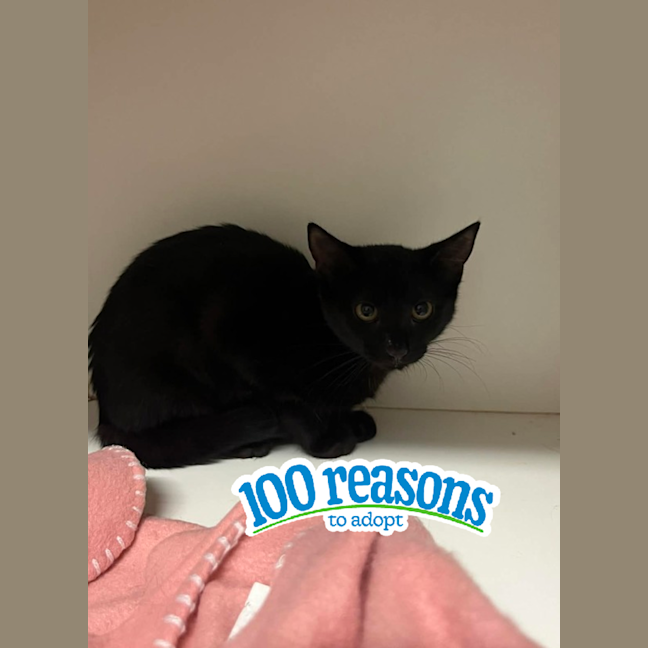 Photo of Iggle Piggle