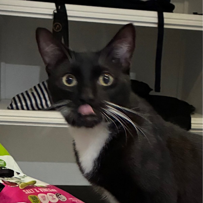 Photo of Xander