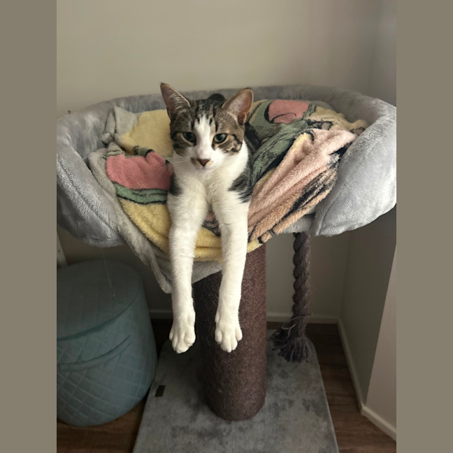 Photo of Jerry Freckle