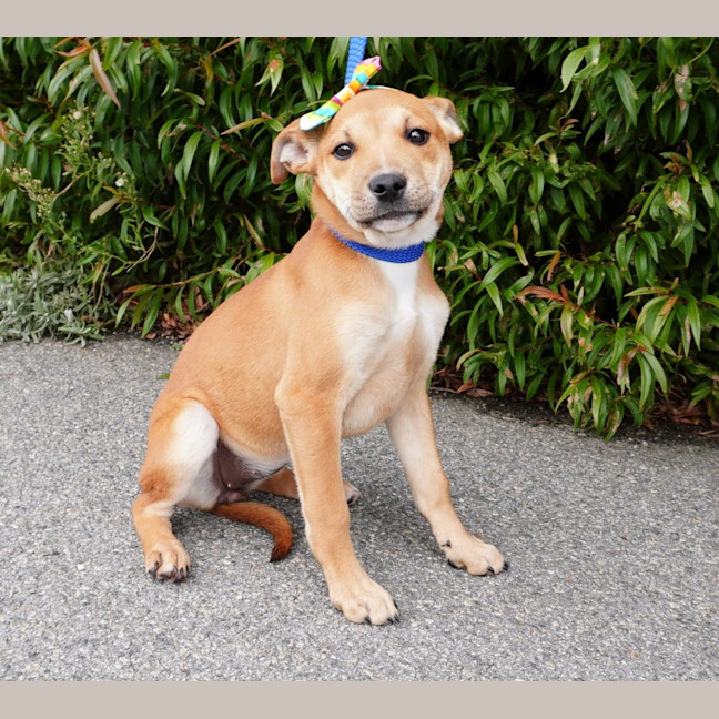 Photo of Ginger And Rodger