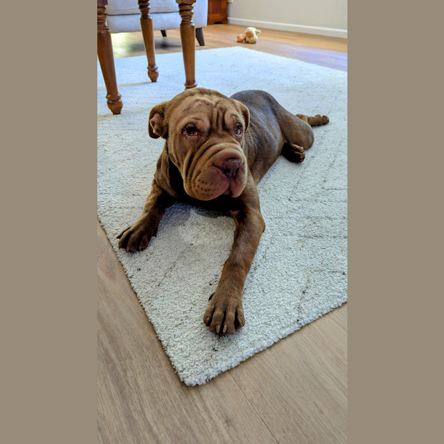 Photo of Delta