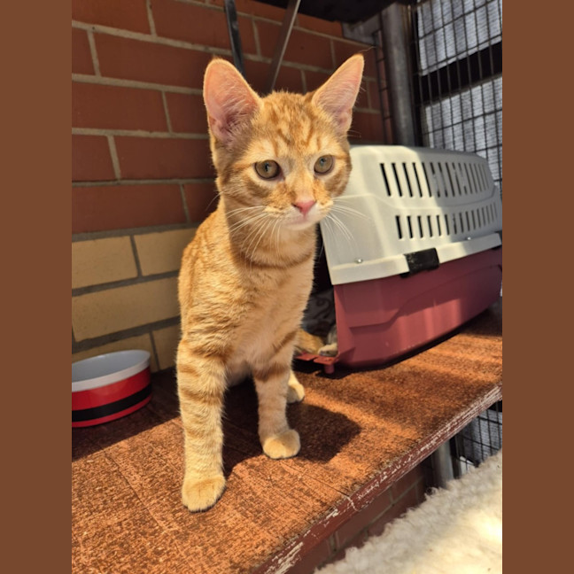 Photo of Monkey! 🦧 