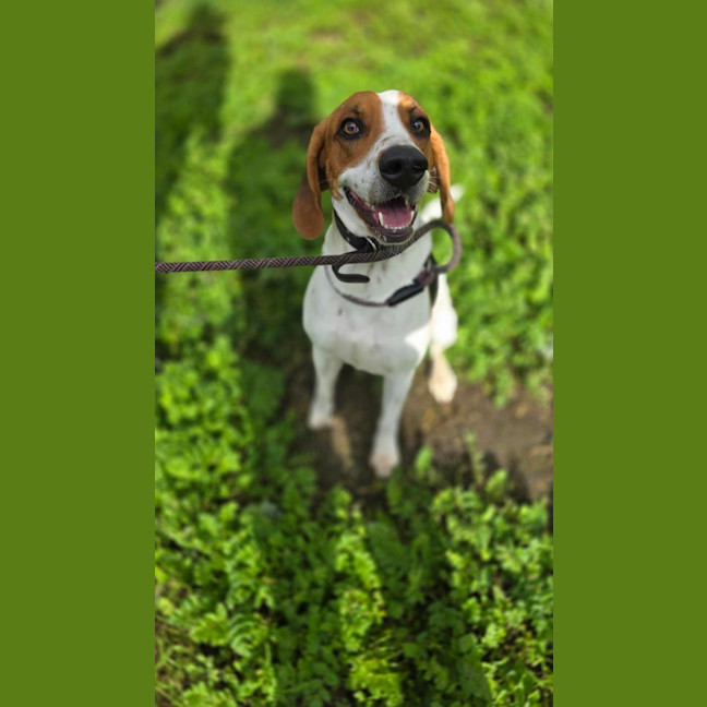 Photo of Wally