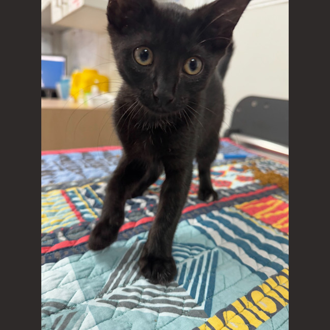 Photo of Cleo