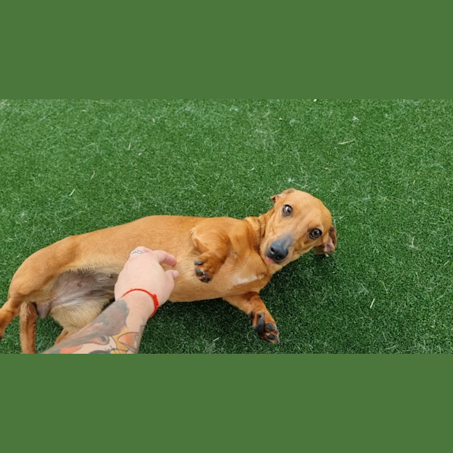 Photo of Dorothy Imp 2569